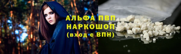 крисы Алексин