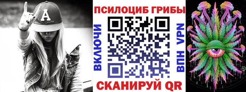 дарнет шоп  Павлово  Галлюциногенные грибы прущие грибы 
