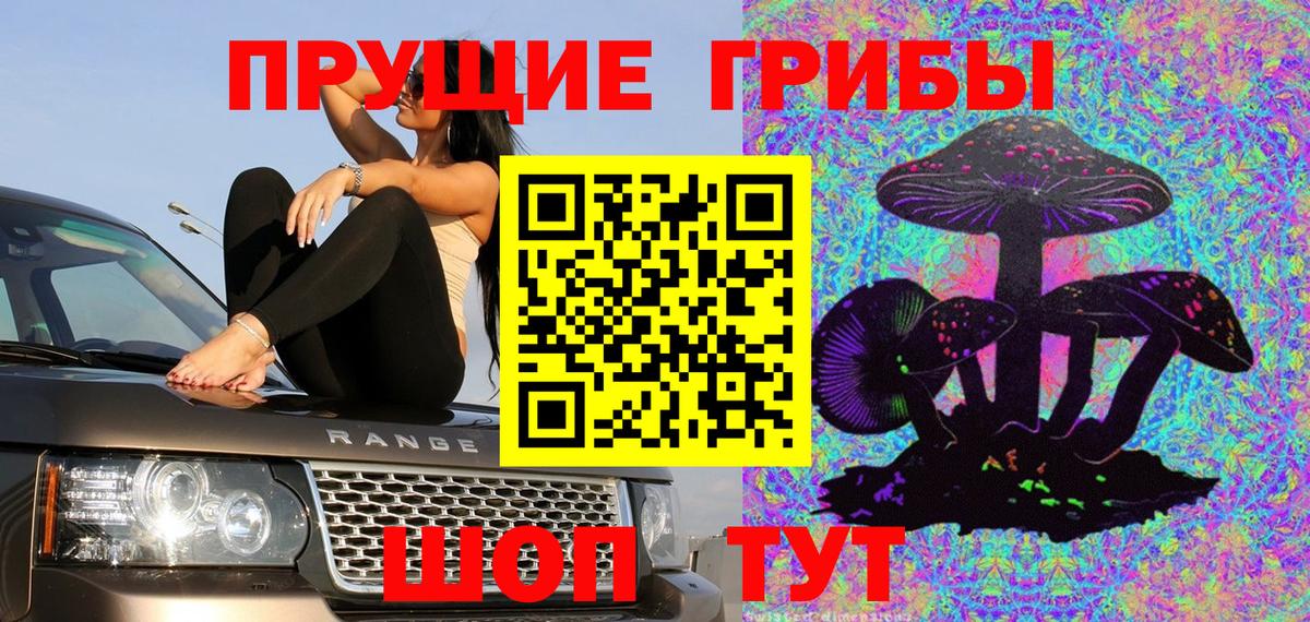 Павлово  Галлюциногенные грибы MAGIC MUSHROOMS  Псилоцибиновые грибы ЛСД  Вход с VPN 