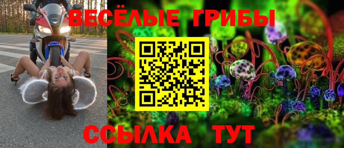 Галлюциногенные грибы мицелий Павлово