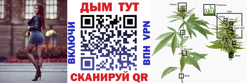 Шишки марихуана OG Kush  купить наркоту  OMG маркетплейс  Павлово 