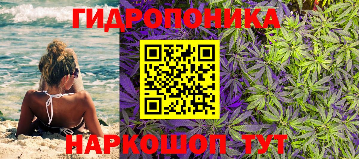 Канабис план Павлово